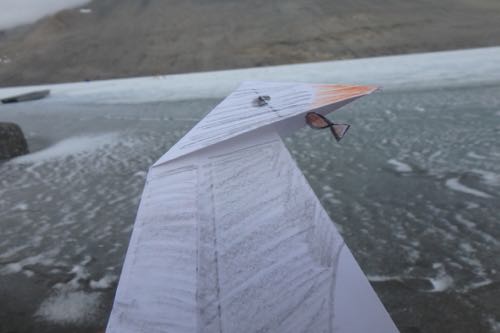 Penguin Origami