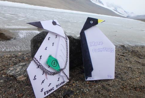 Utah origami penguin