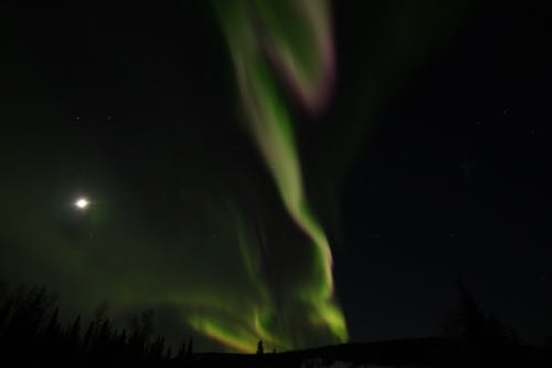Northern Lights (Photo Credit: Kim Young)
