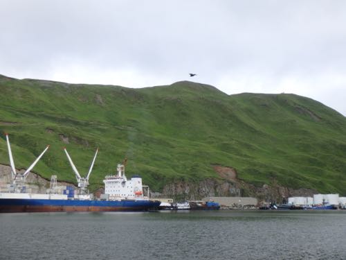 The view of Dutch Harbor from the ship