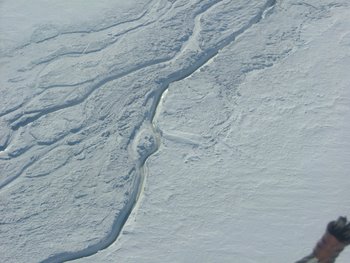 Rivers of melt water on the Shackleton Glacier