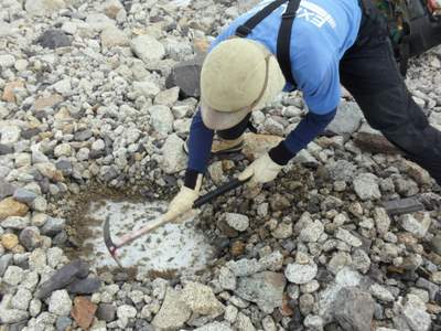 John Stone uncovering ancient glacial ice.