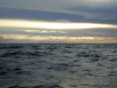 Aug29Afternoon:  The seas 40 miles offshore, at the far end of our transect.