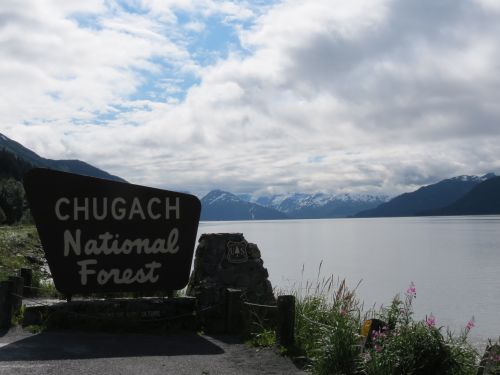 Entering the Chugach National Forest. August 21st, 2012.  Photo by Lisa Seff.