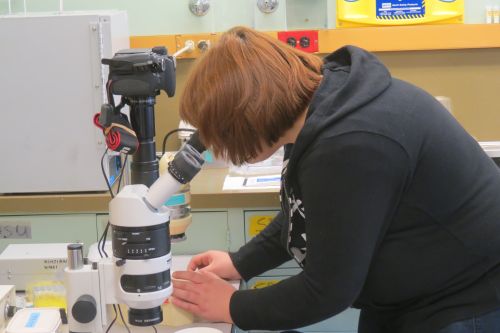 Barrow High School student Alex Rabadjiysky on the microscope.