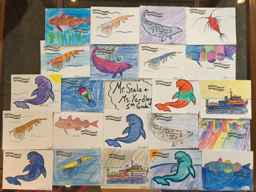 Arctic organism artwork from Mr. Scala and Mrs. Yardley&#39;s class at Springs School!  Photo by Lisa Seff.  August 2017.