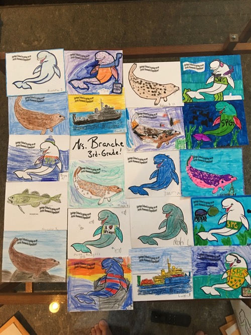 Arctic organism artwork from Springs School students! 3rd Grade 2016/17 Mrs. Branche&#39;s classroom.  Photo by Lisa Seff.  August 2017.