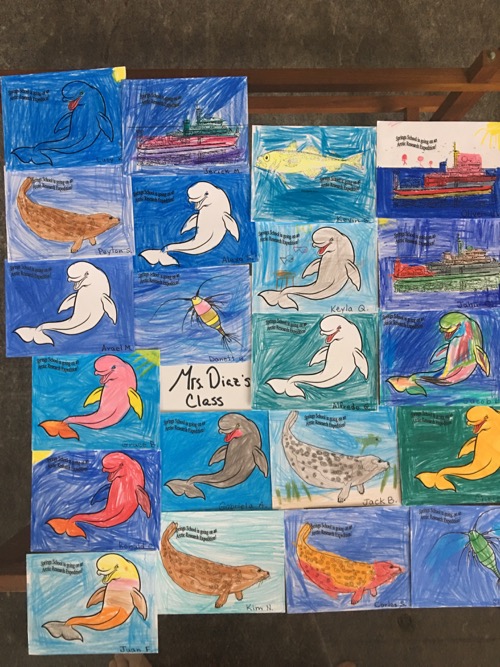 Arctic organism artwork from students in Mrs. Diaz&#39;s classroom at Springs School!  Photo by Lisa Seff.  August 2017.