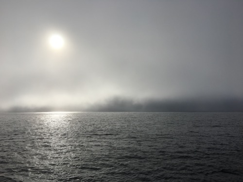 The sun gets low in the sky over calm seas as the fog rolls in! September 5, 2017.  Photo by Lisa Seff