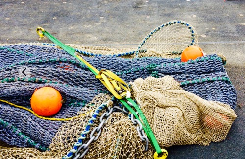 Mid-Water Trawl Net.