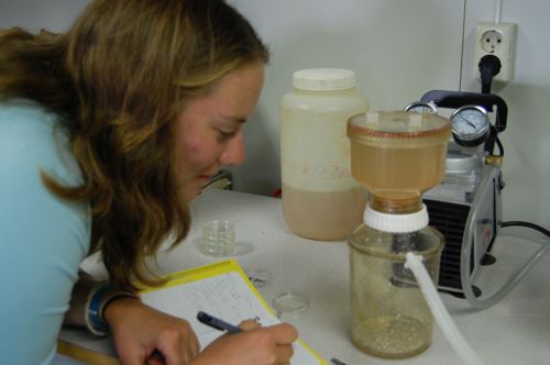 vacuuming sediment out of the water