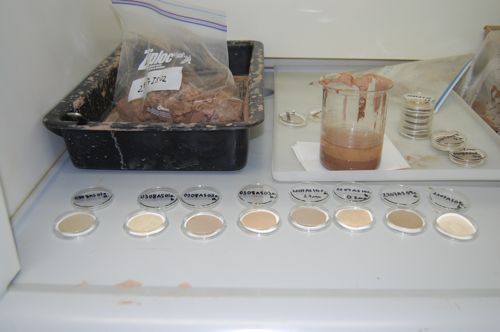water sediment samples