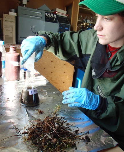 Ludda begins the process of dissolving one of her organic soil samples.