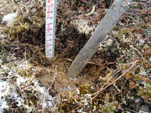Measuring depth of the soil sample 