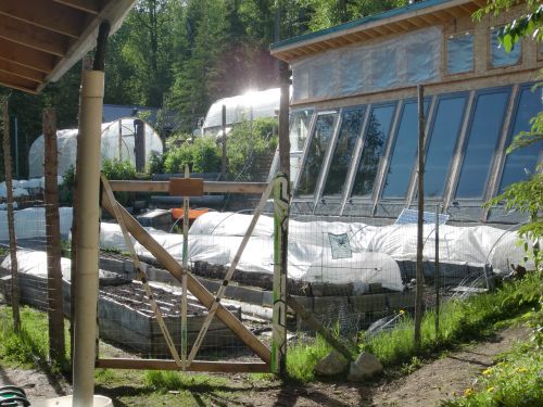 The new greenhouse (right), two hoop houses (left) and upper beds.
