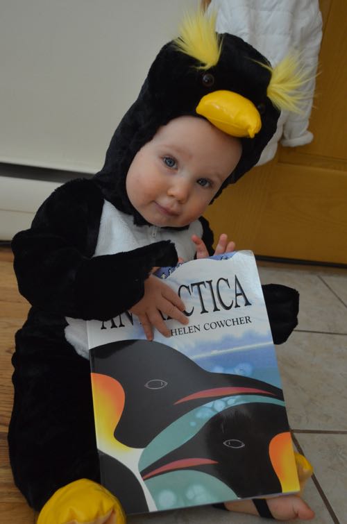 Baby dressed up as penguin.