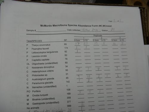 Macrofauna Data Sheet