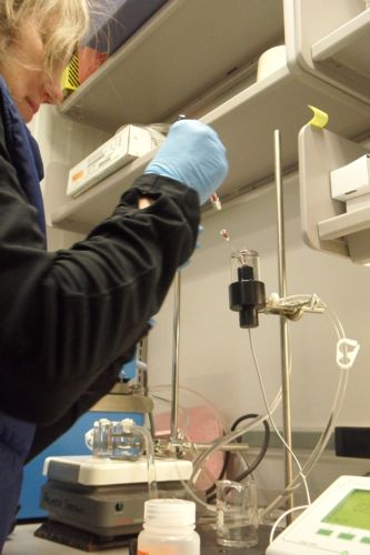 Kristin O'Brien measuring % oxygen in N. coriiceps blood sample