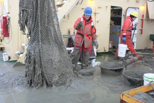 Trawl net unloading