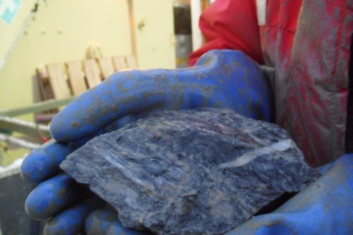 Rock samples from Flanders Bay, Antarctica