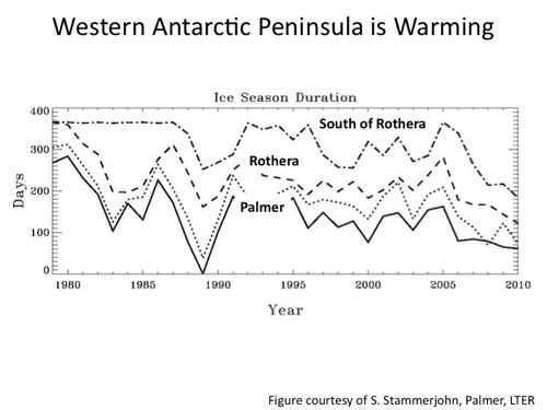 Graph showing warming trends at Palmer Station