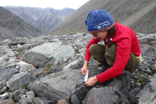 Ellie measures lichens