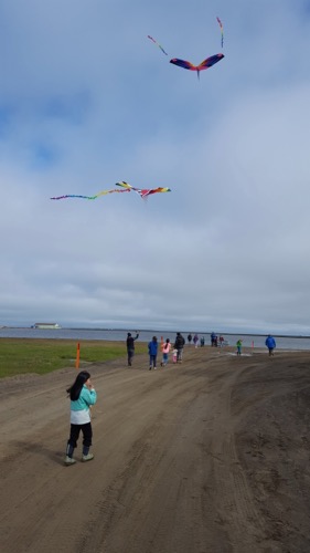 Lets go fly a kite!