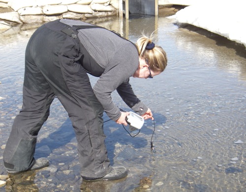 Determining the Dissolved Oxygen and Temperature of the Canada Stream