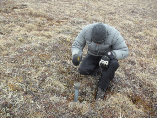Anthony Darrouzet-Nardi pounding in the soil corer in order to take a sample of 
