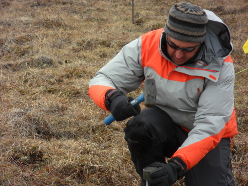 Matt Wallenstein, co-PI, obtaining a soil core on the plots