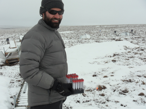 Anthony Darrouzet-Nar with microlysimeter tubes ready for collection at the plot