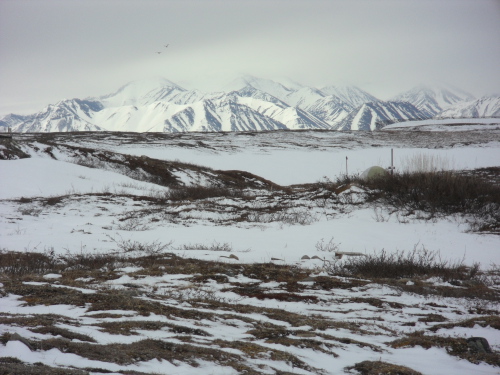 The North facing slope of the Brooks Range as seen from Toolik Field Station
