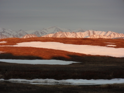 view of the North Slope of the Brooks Range from Toolik Field Station 1:00 am Ma