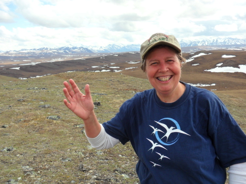 Ms. Steiner atop Jade Mountain near Toolik Field Station, Brooks Range in the ba