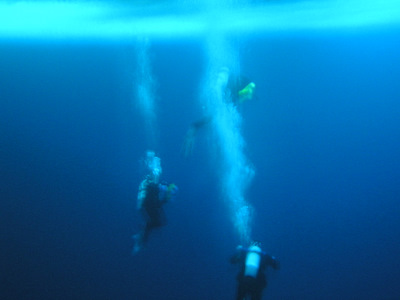 SCUBA diving in Antarctica