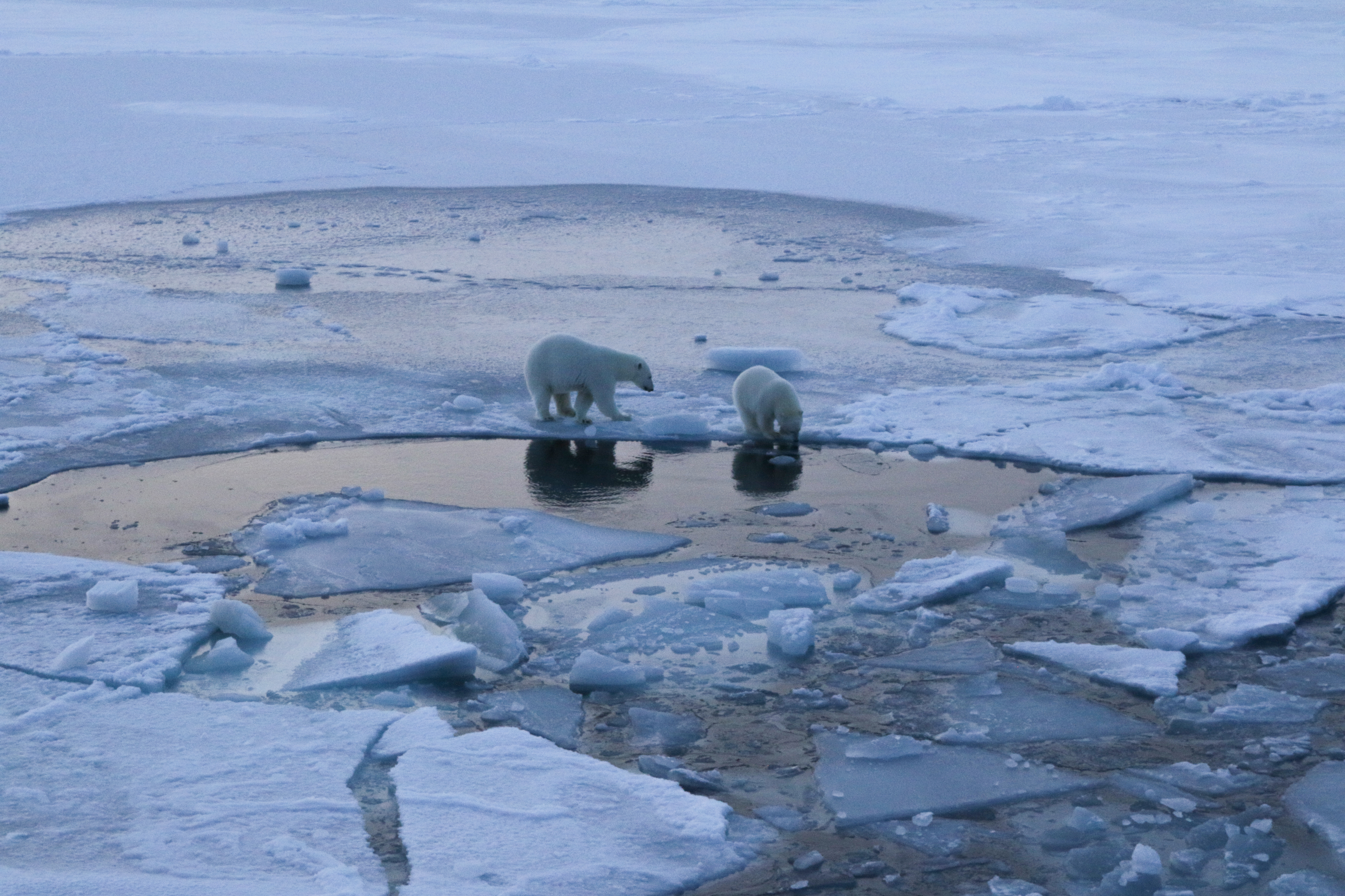 Katie Gavenus' Expedition Photos from the Central Arctic Ocean