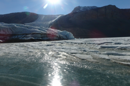 Photo showing the terminal end of Taylor Glacier meeting Lake Bonney, which is fed by the meltwater of the glacier. Lake Bonney, Taylor Valley, Antarctica. Photo by Kevin Dickerson (PolarTREC 2018), Courtesy of ARCUS
