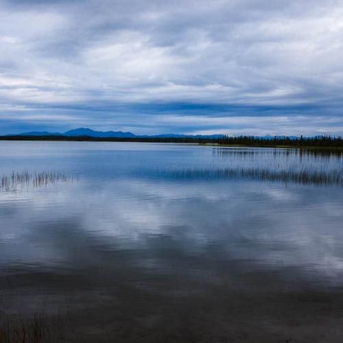 Lake in Nikolai
