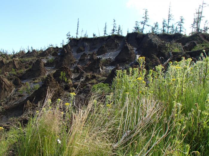 Thawing permafrost cliffs