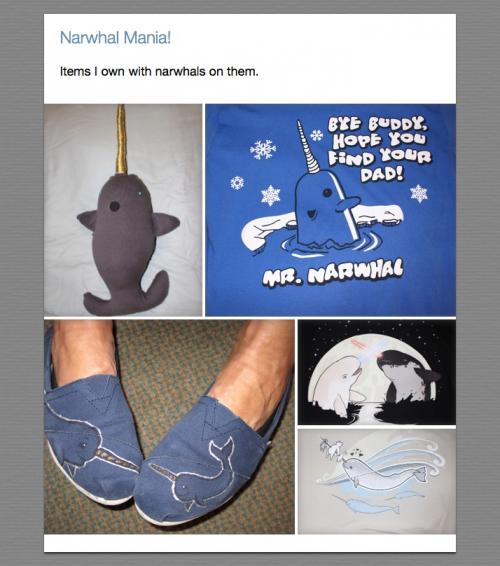 narwhal mania