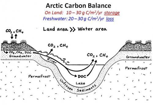 Arctic Carbon Balance