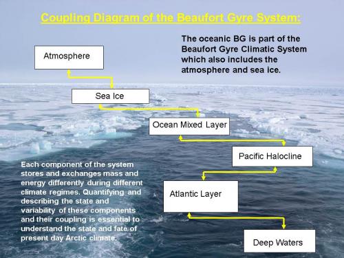 Coupling diagram of the Beaufort Gyre climate system