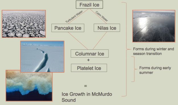 Sea Ice Formation