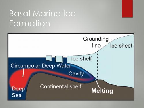 Basal ice formation