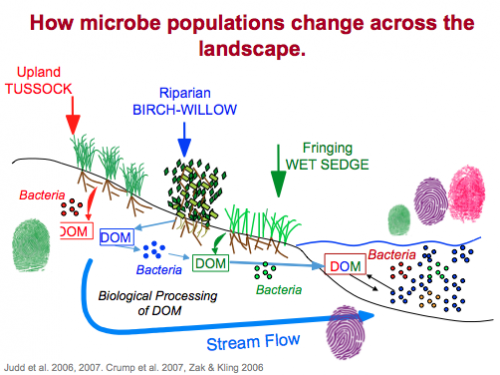 Microbe landscape