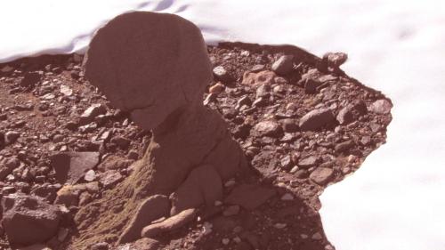 Photograph of dolerite in central Beacon Valley, Antarctica.