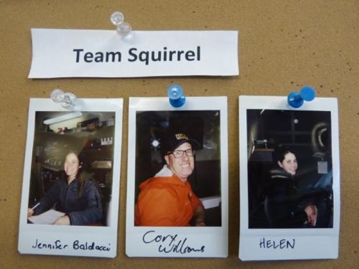 Team Squirrel