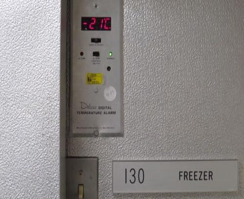 Freezer temp