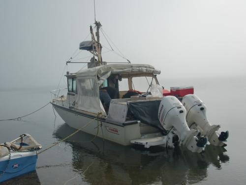 Our vessel, the Boston Whaler.
