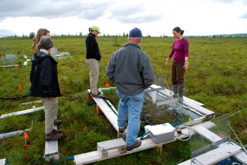 We visited the study site at Healy